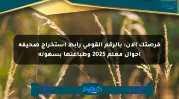 فرصتك الآن: بالرقم القومي رابط استخراج صحيفة أحوال معلم 2025 وطباعتها بسهولة